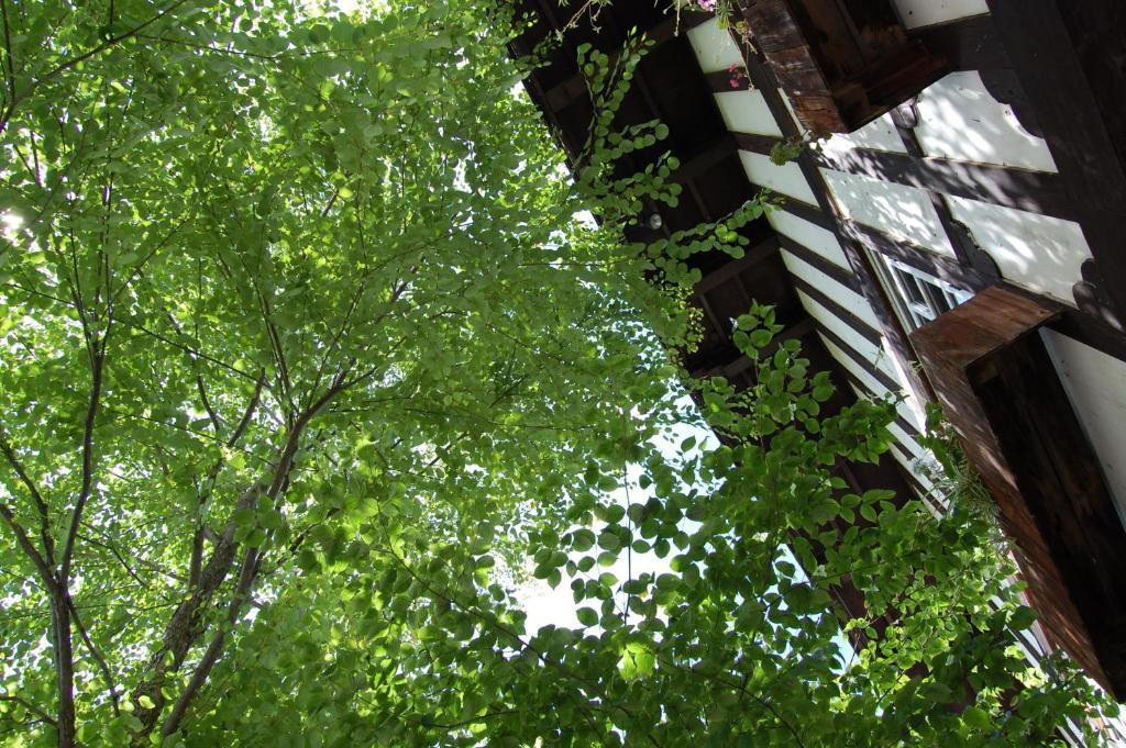 Petit Hotel Alumu Matsumoto Zewnętrze zdjęcie